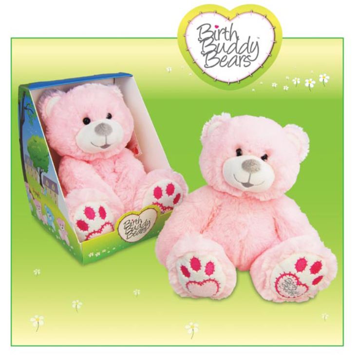 Birth Buddy Teddy Bears The Gift Experience