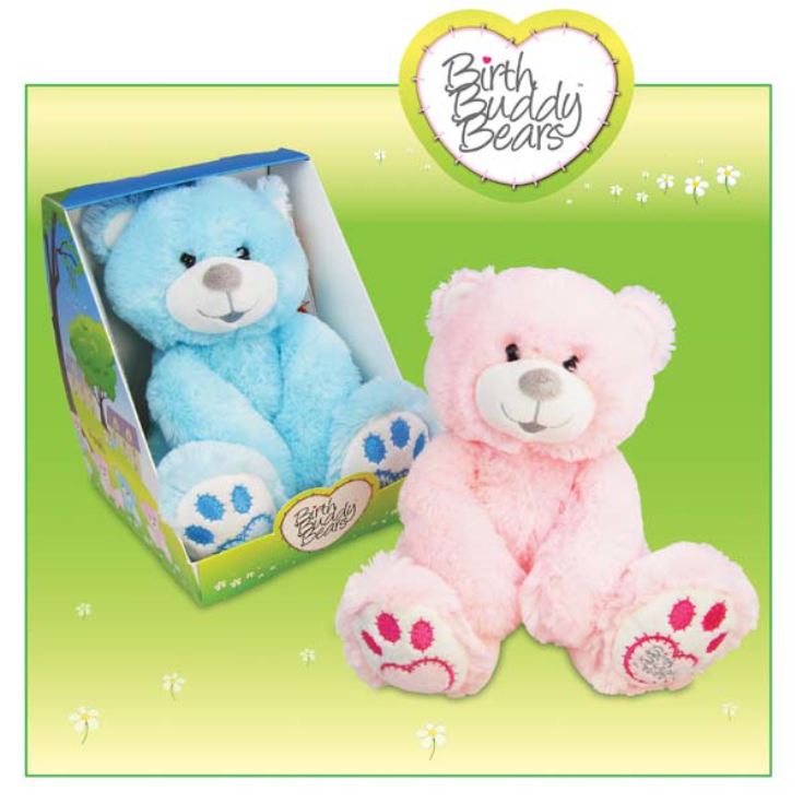Birth Buddy Teddy Bears The Gift Experience