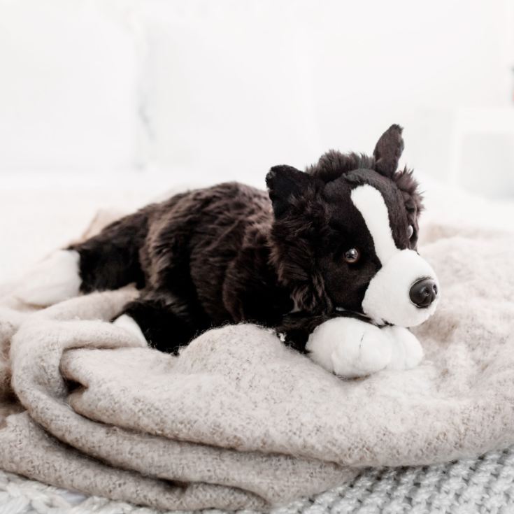 collie soft toy