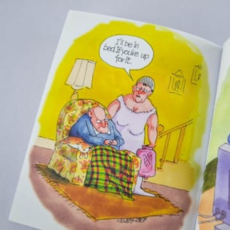 Growing Old Disgracefully Book product image