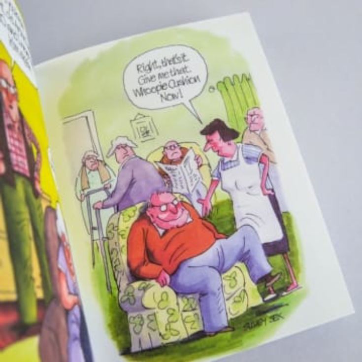 Growing Old Disgracefully Book product image