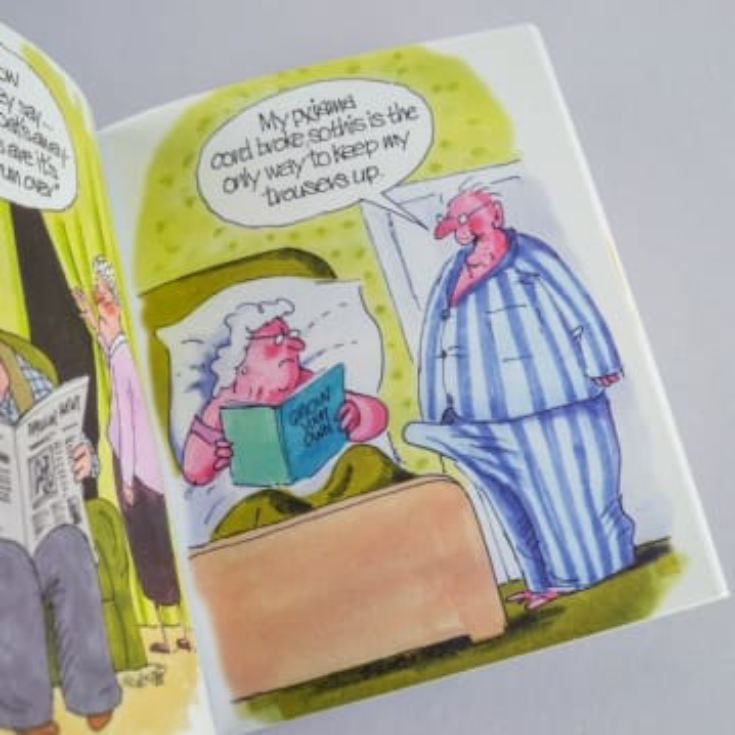 Growing Old Disgracefully Book product image