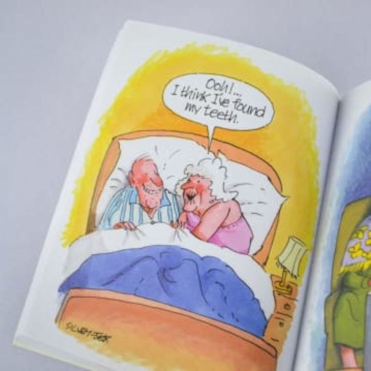 Growing Old Disgracefully Book product image