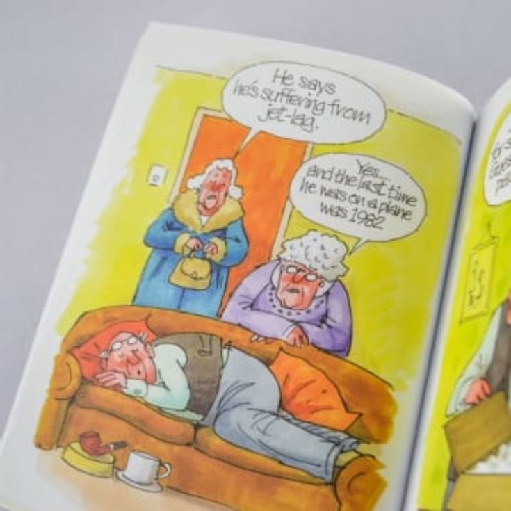 Growing Old Disgracefully Book product image
