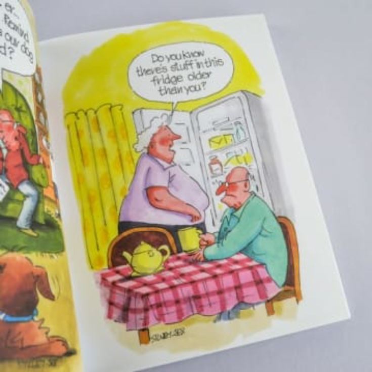 Growing Old Disgracefully Book product image