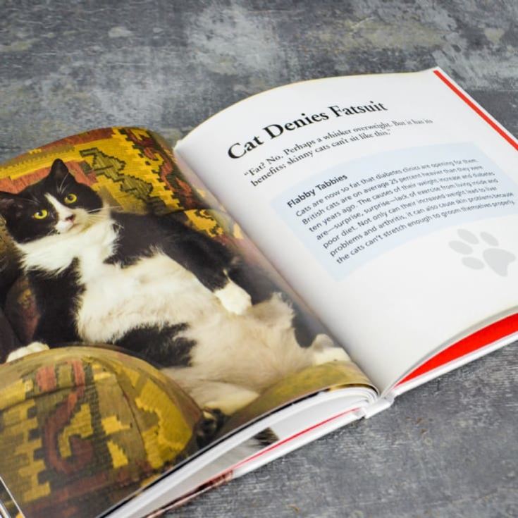 Cats Gone Bad Real Life Stories Book product image
