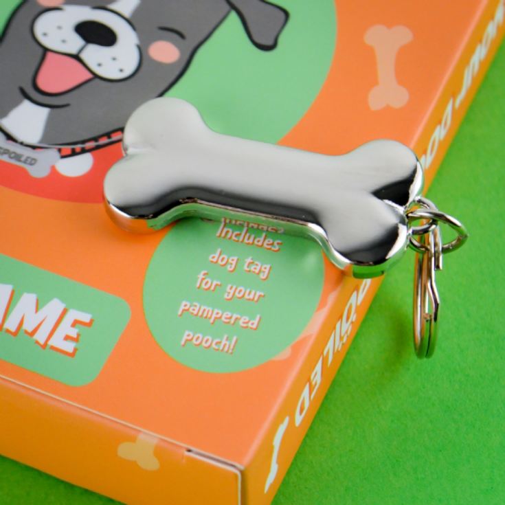 Is Your Dog Spoiled Card Game product image