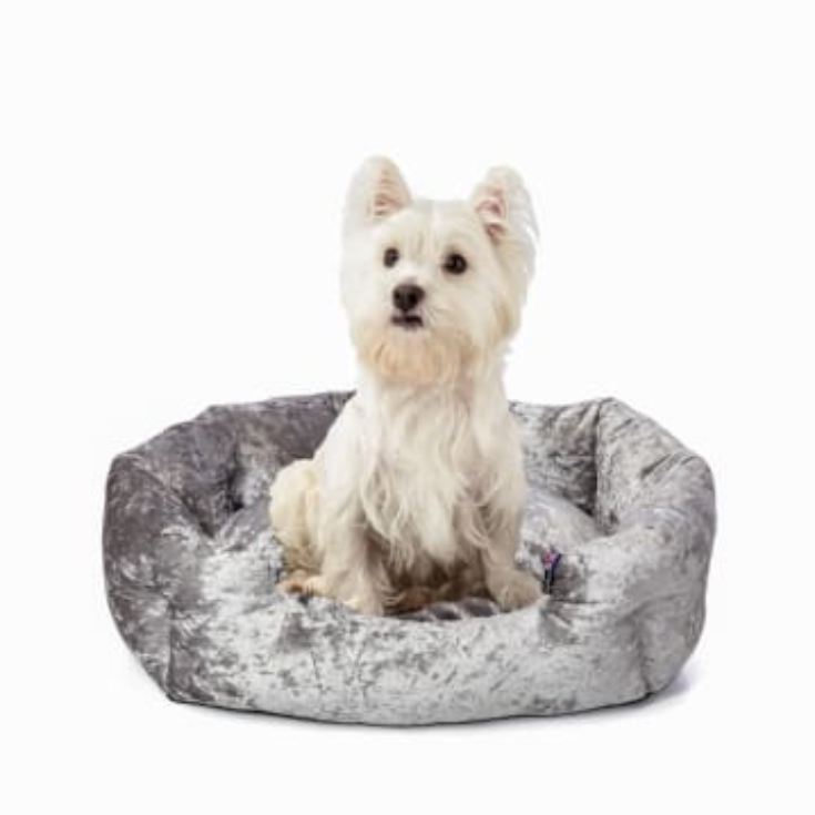 Personalised Crushed Velvet Dog Bed product image