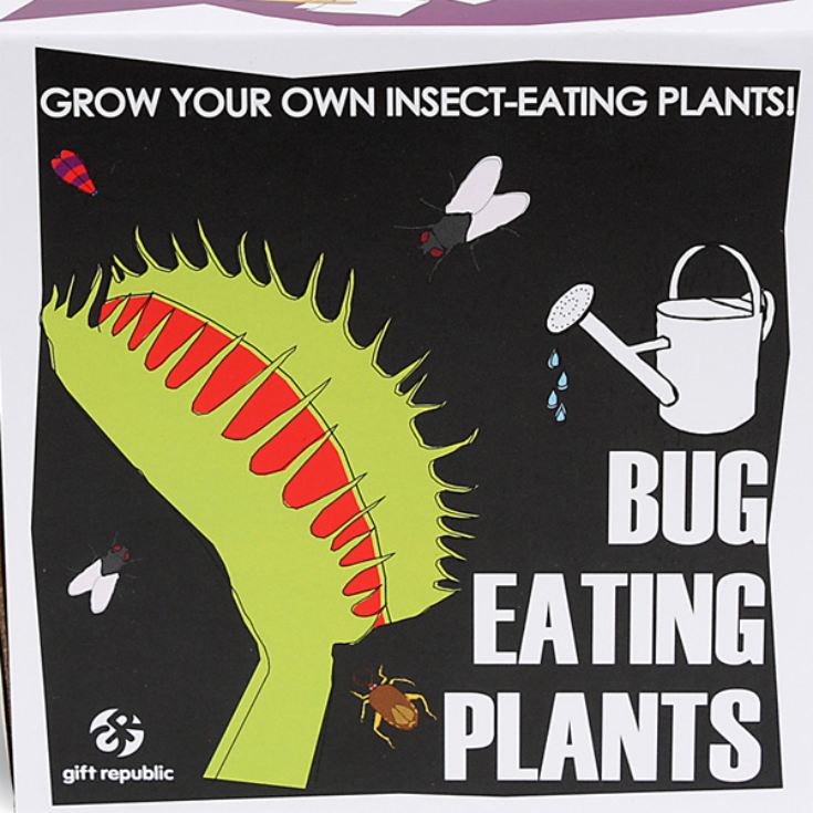 Sow and Grow Bug Eating Plants The Gift Experience