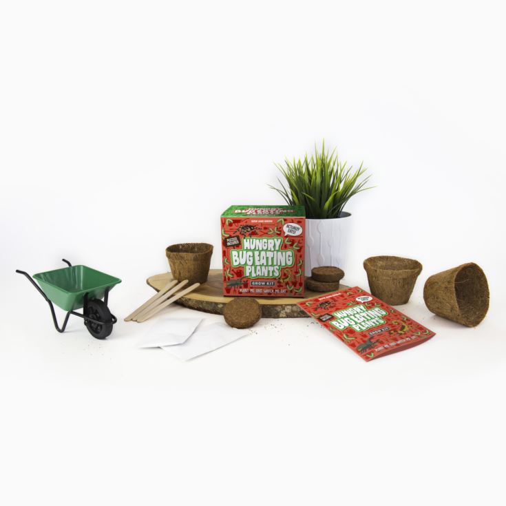 Sow and Grow - Bug Eating Plants product image