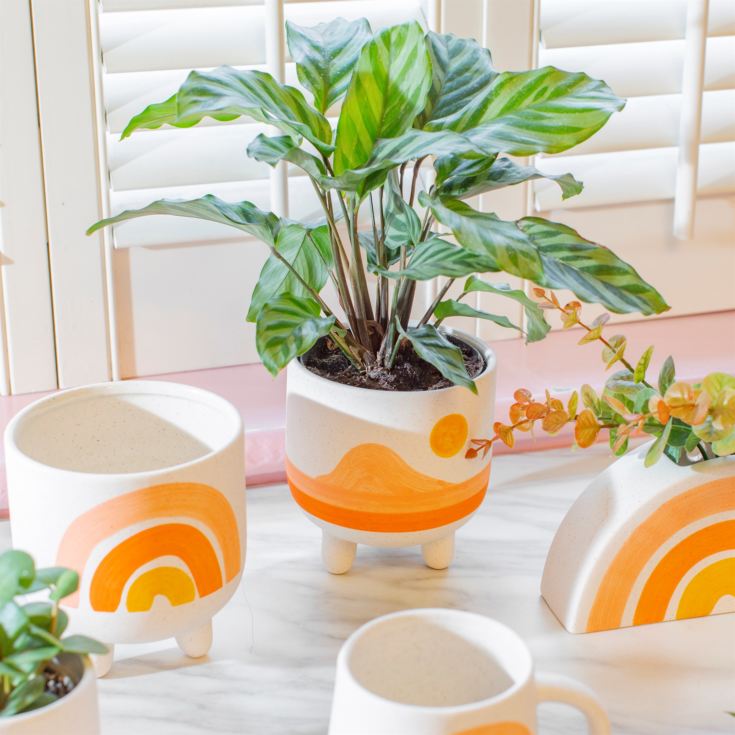 Hand Painted Sunset Planter product image