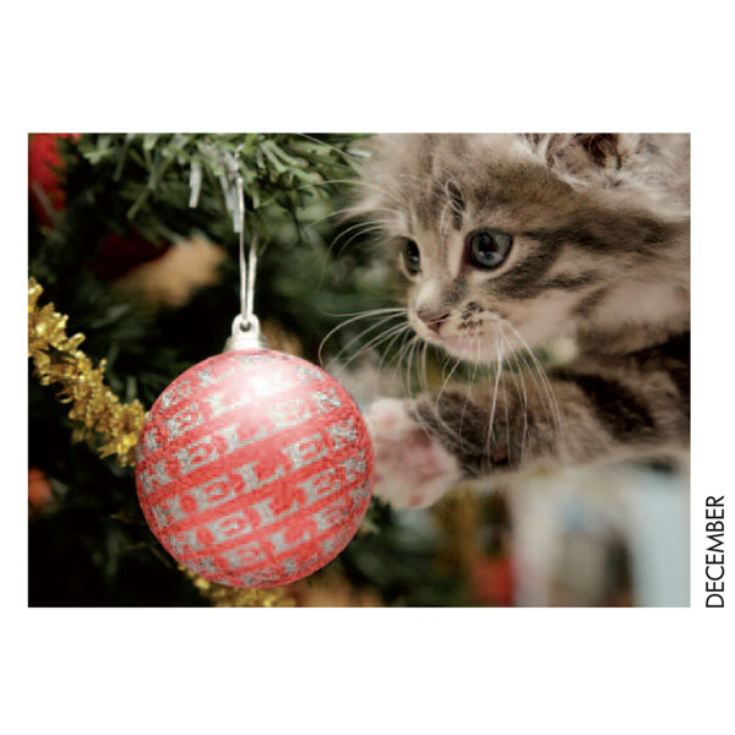 Personalised Cat Calendar product image
