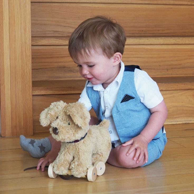Dexter Dog Pull Along Toy product image