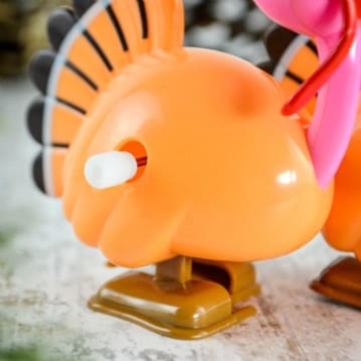 Racing Turkeys product image
