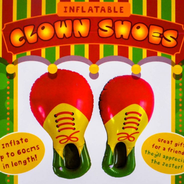 Inflatable Clown Shoes product image