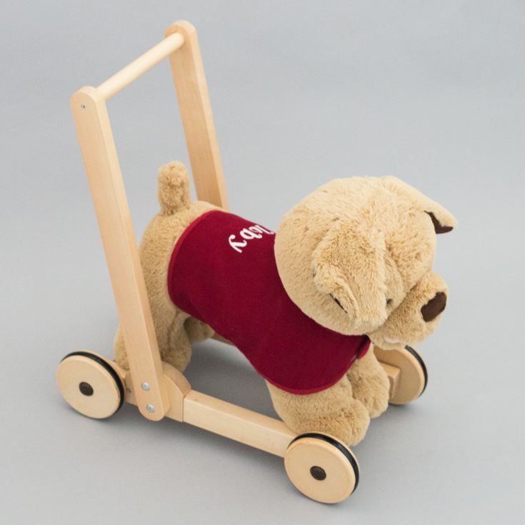 Dexter Dog Luxury Push Along Toy With Personalised Dog Coat product image