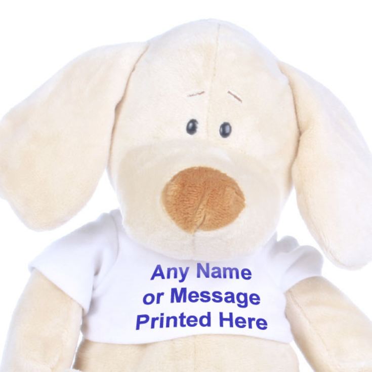 Personalised Puppy Soft Toy The Gift Experience
