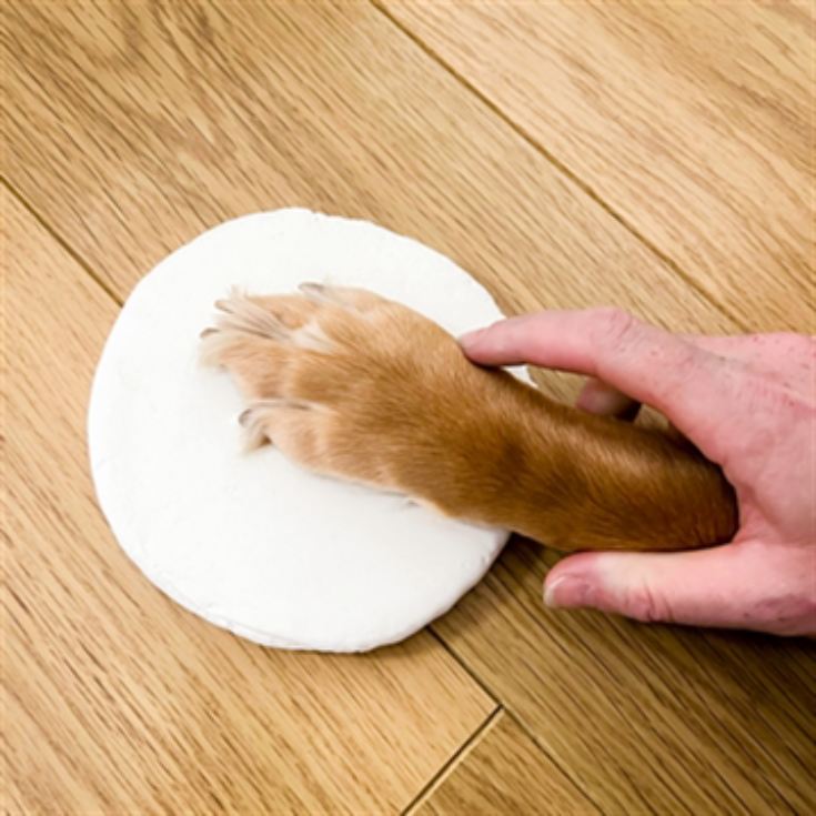 Pet Paw Clay Moulding Kit product image