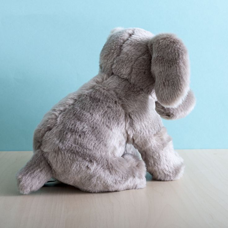 Elephant Soft Toy The Gift Experience