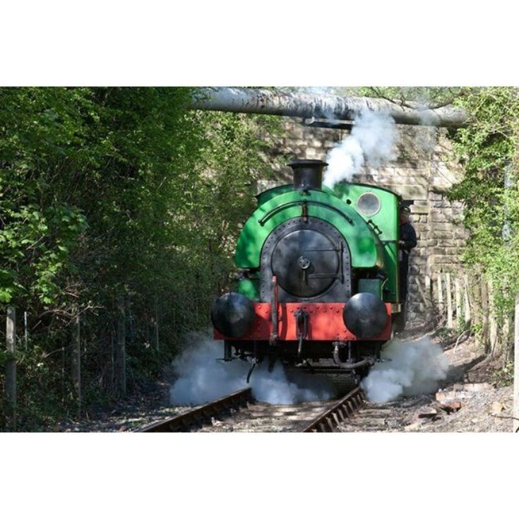 One Hour Introductory Steam Train Driving The Gift Experience