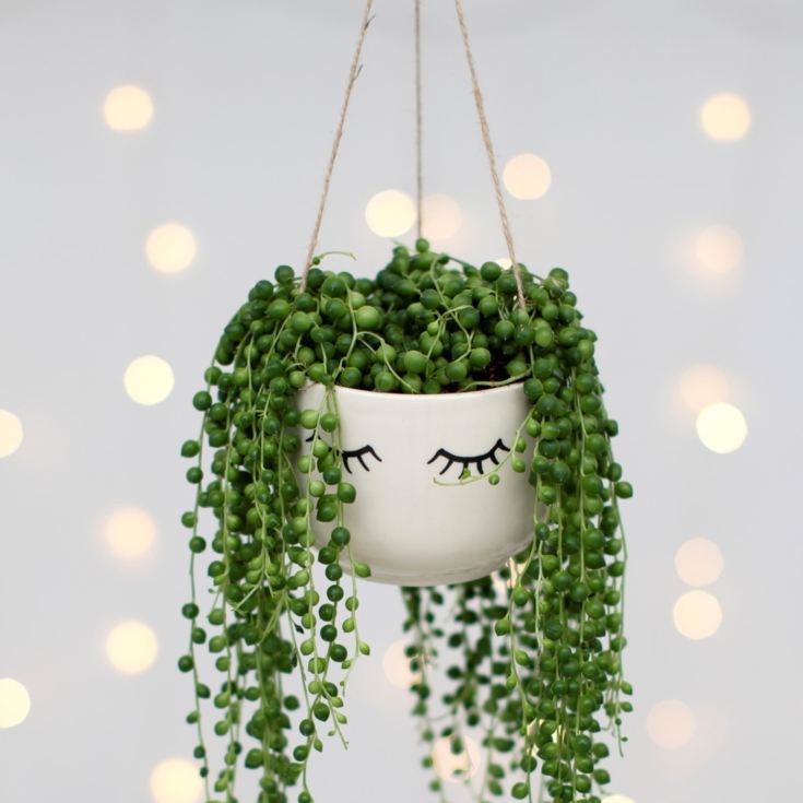 Eyes Shut Hanging Planter product image