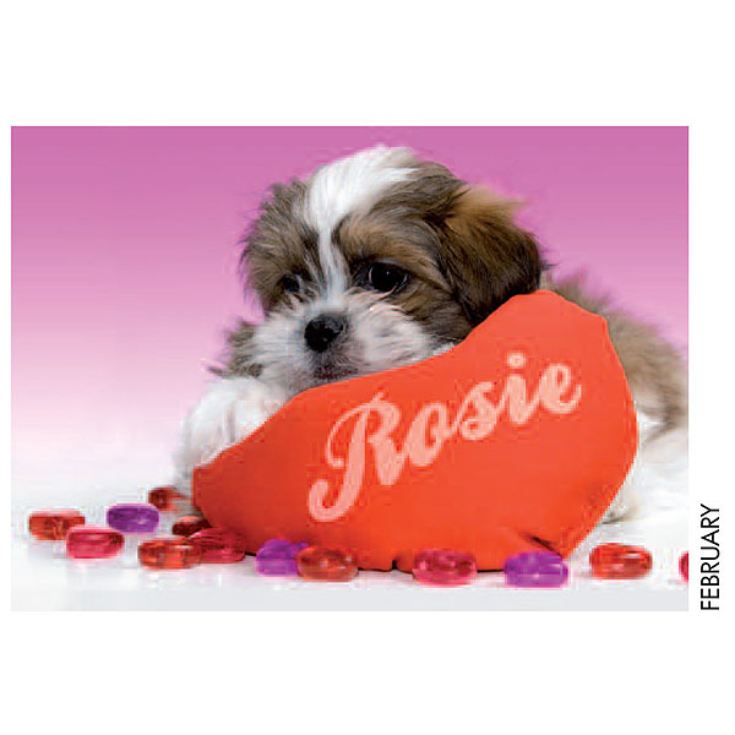 Personalised Dog Calendar product image