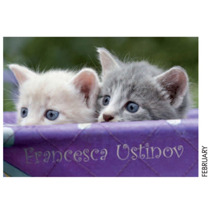 Personalised Cat Calendar product image