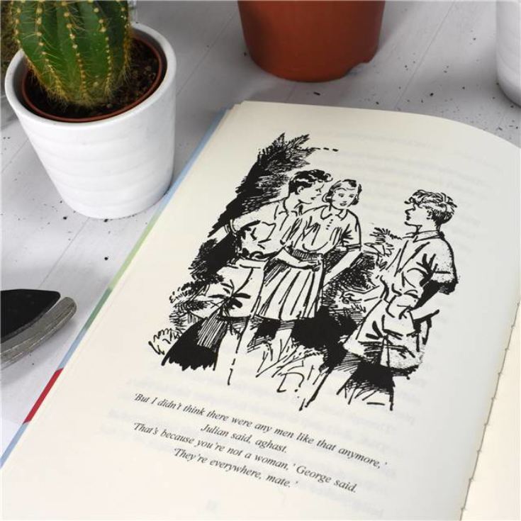 Personalised Enid Blyton Book - Five Lose Dad in the Garden Centre product image