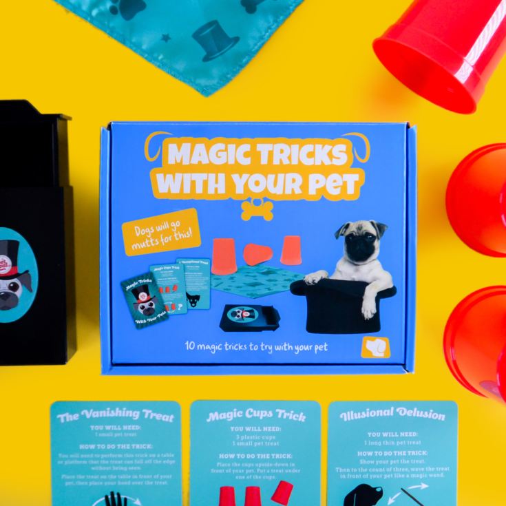 Magic Tricks With Your Pet product image