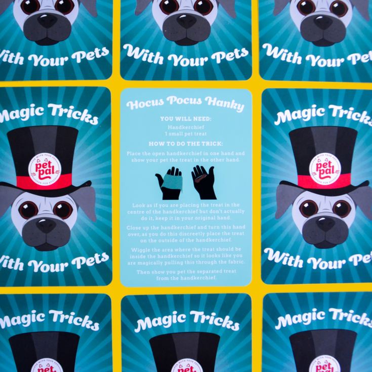 Magic Tricks With Your Pet product image