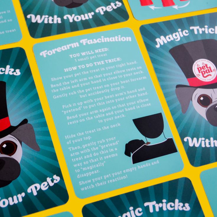 Magic Tricks With Your Pet product image