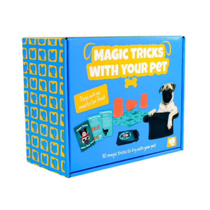 Magic Tricks With Your Pet product image