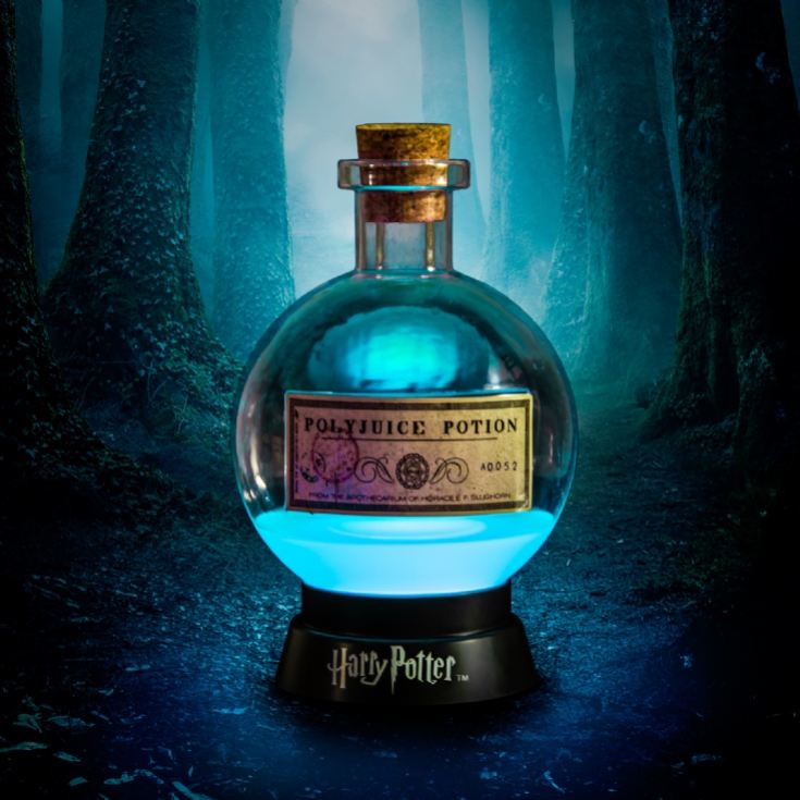 Large Harry Potter Colour Changing Potion Lamp product image