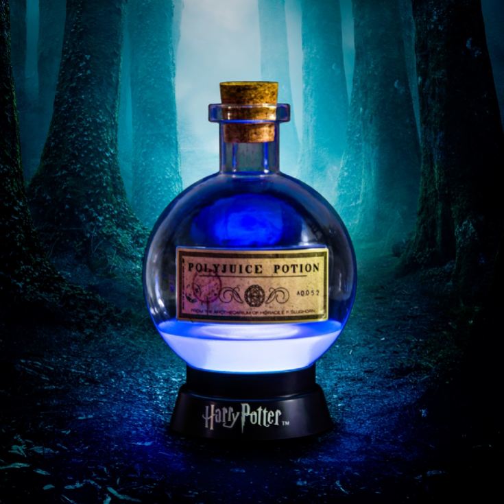 Large Harry Potter Colour Changing Potion Lamp product image