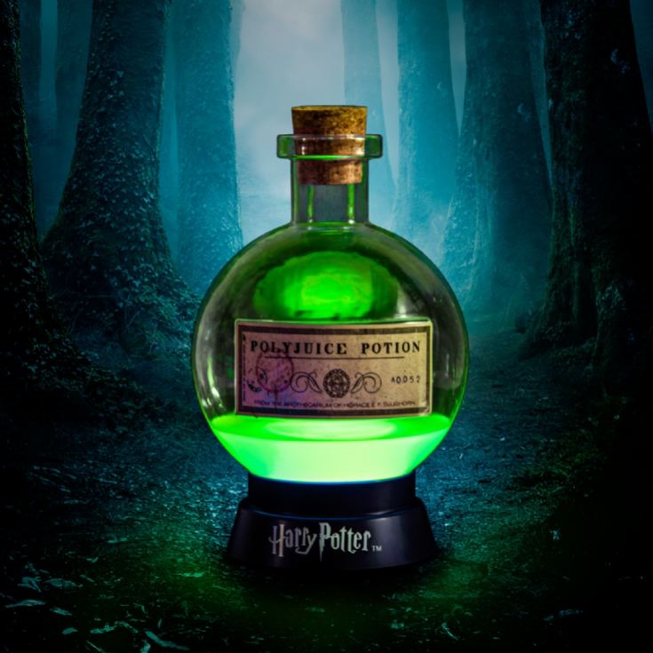 Large Harry Potter Colour Changing Potion Lamp product image