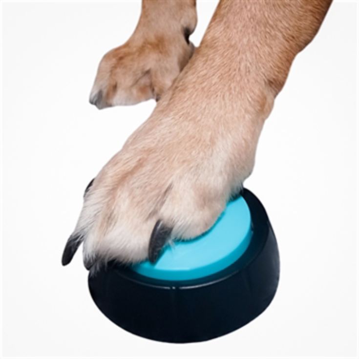 Dog Training Buttons