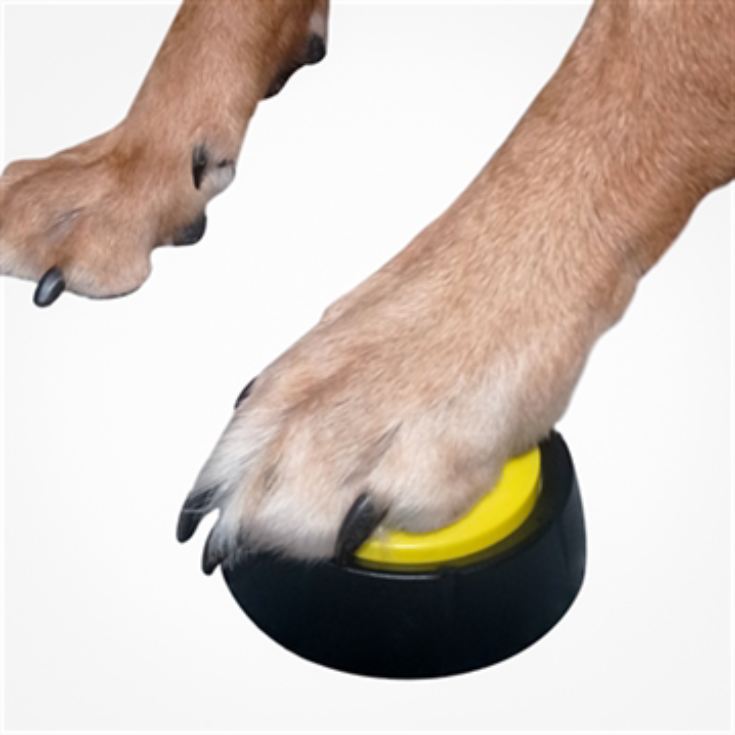 Dog Training Buttons