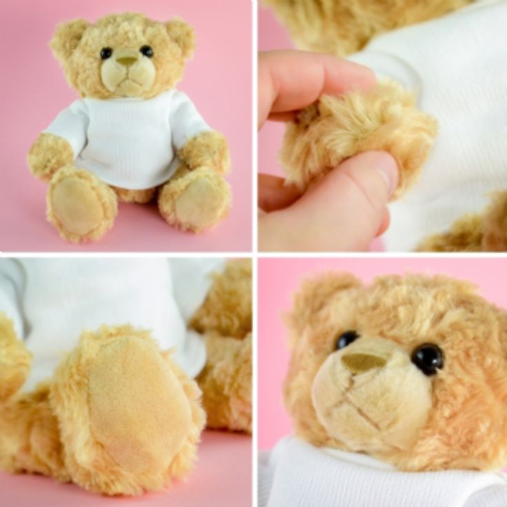 Personalised Best Mum Ever Teddy Bear product image