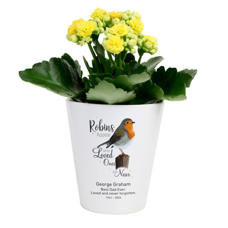 Personalised Robins Appear When Loved Ones Are Near Plant Pot product image