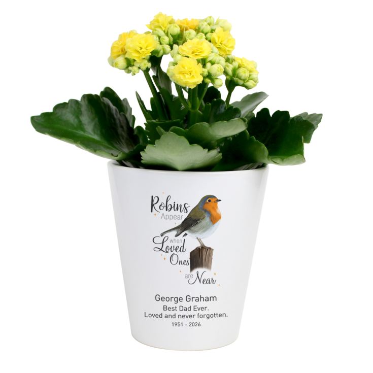 Personalised Robins Appear When Loved Ones Are Near Plant Pot product image