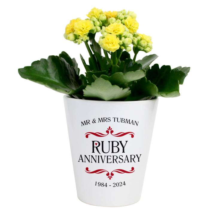 Personalised Ruby Wedding Anniversary Plant Pot product image