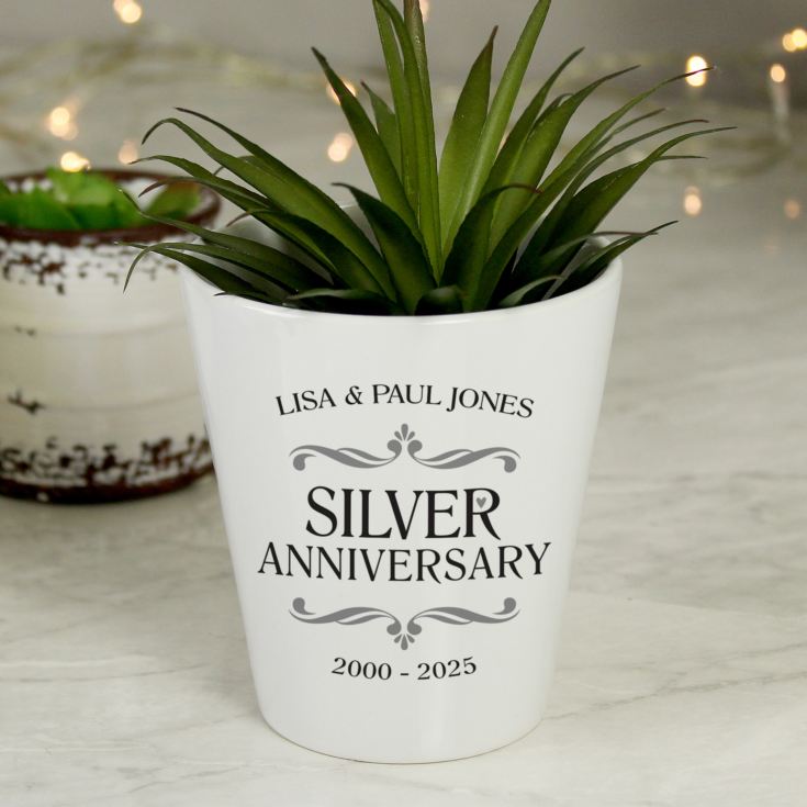 Personalised Silver Wedding Anniversary Plant Pot product image