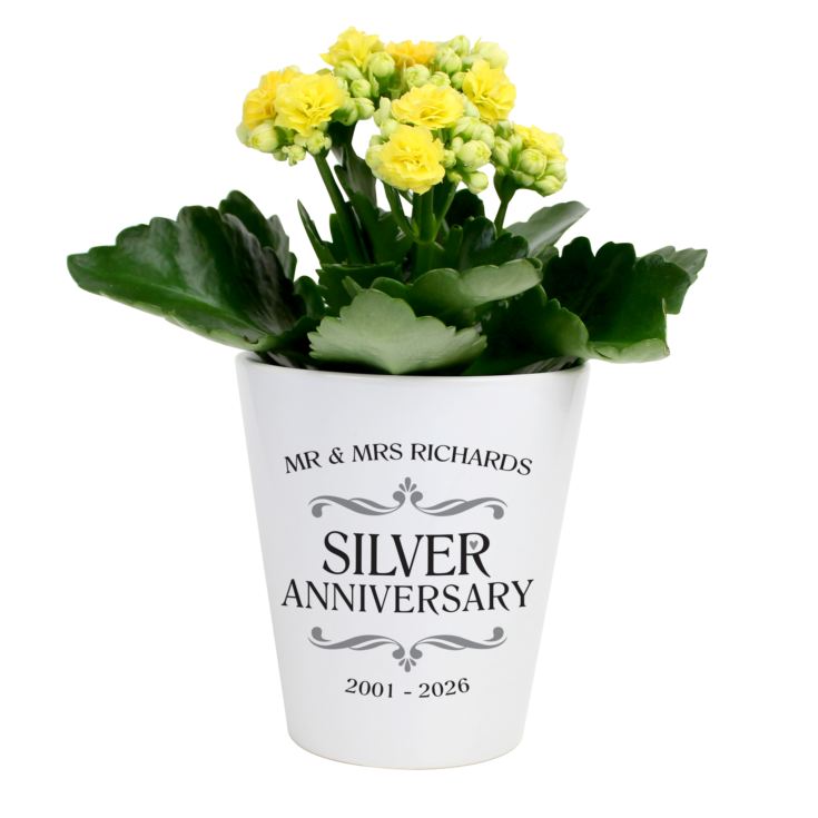 Personalised Silver Wedding Anniversary Plant Pot product image