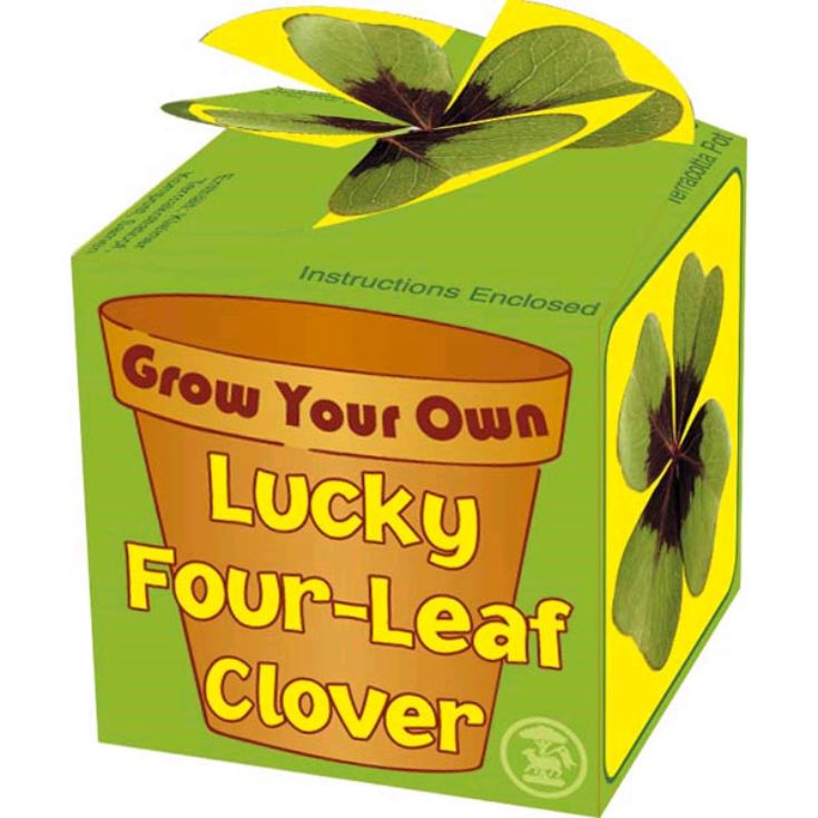Grow Your Own Four Leaf Clover The Gift Experience