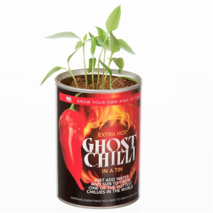 Grow Your Own Ghost Chilli product image