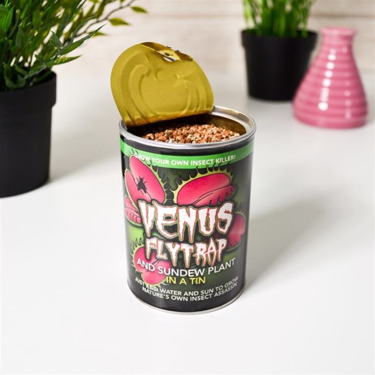 Venus Fly Trap in a Tin product image