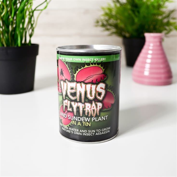 Venus Fly Trap in a Tin product image