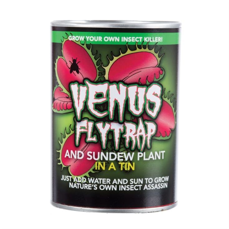 Venus Fly Trap in a Tin product image