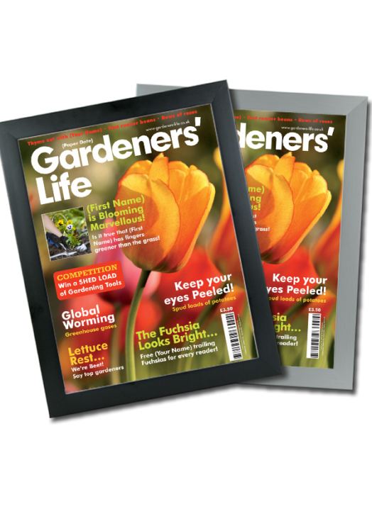 Gardening Magazine Spoof product image