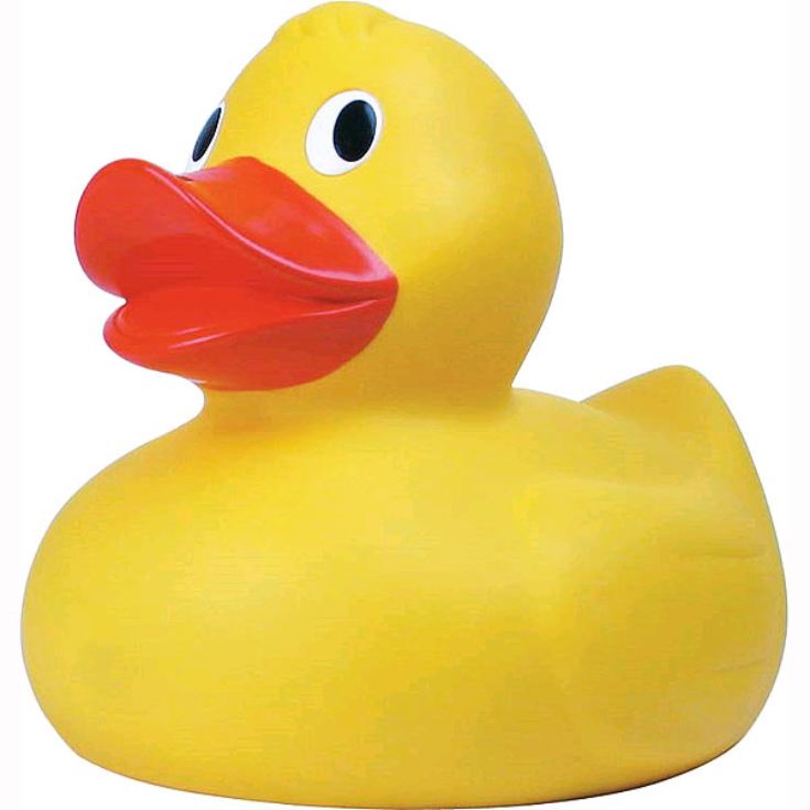Giant Duck product image